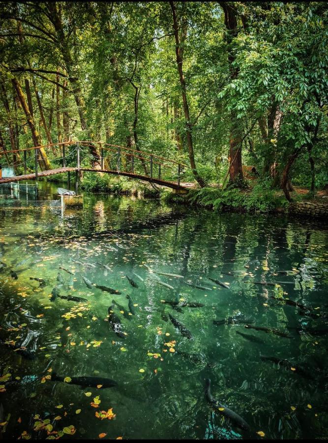 Янтарная Форель Bushtyno ภายนอก รูปภาพ